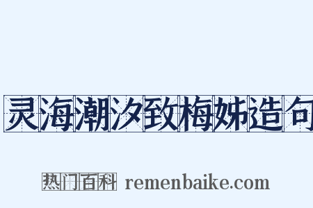 灵海潮汐致梅姊造句是什么意思的图片